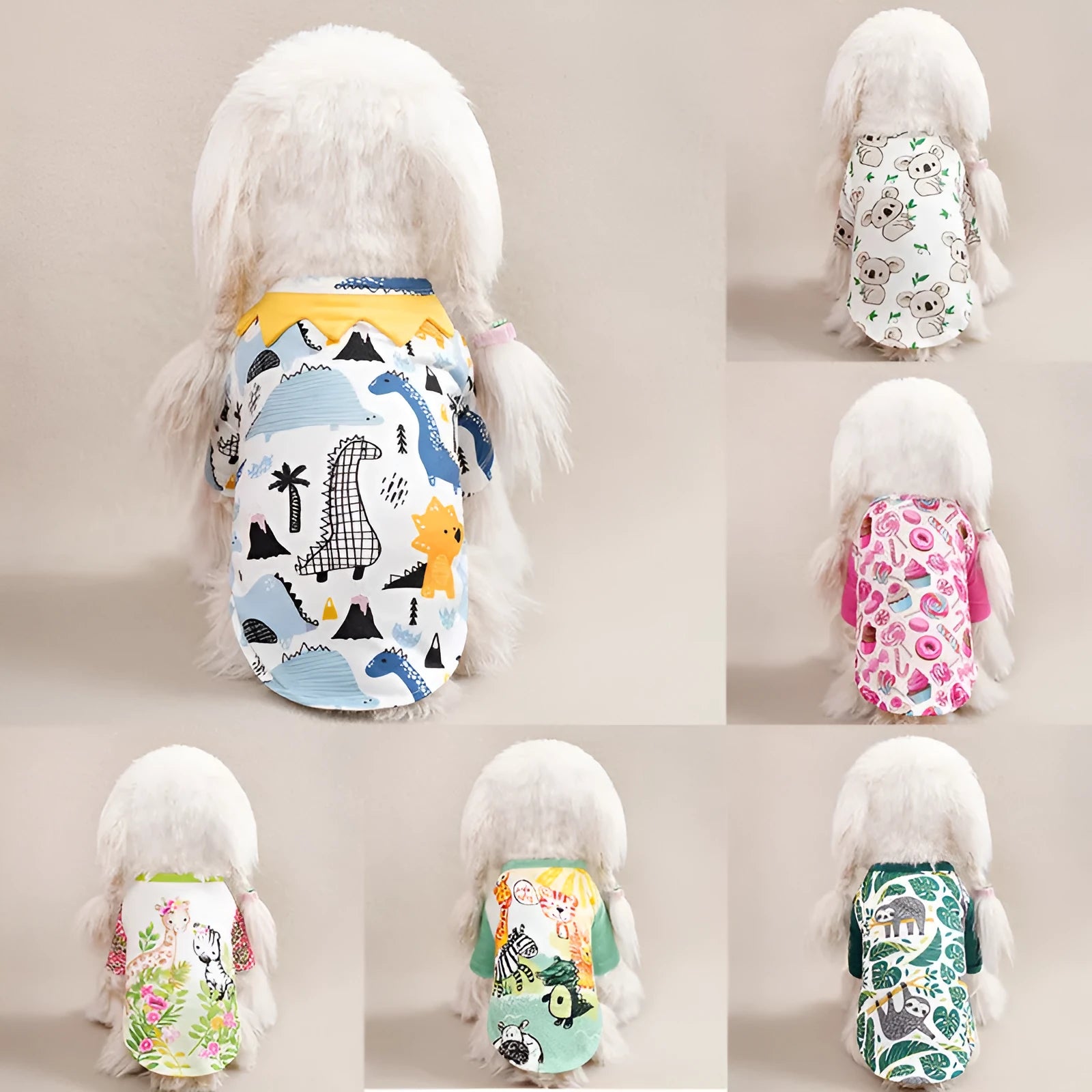 Small dog wearing a colourful printed polyester t-shirt for casual spring or autumn weather.