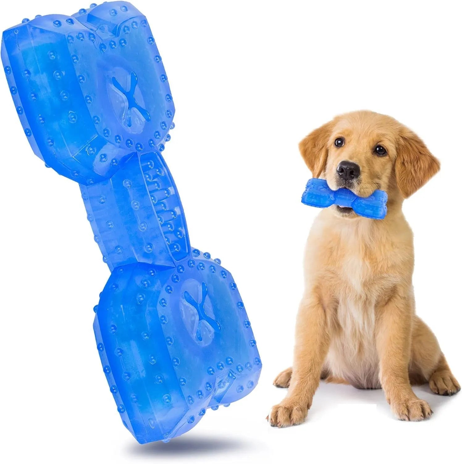 Freezable bone and circle shaped dog chew toys for cooling and teething relief.