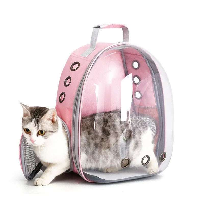 Hard-shell pet carrier bag in blue with side ventilation openings and 40-litre capacity