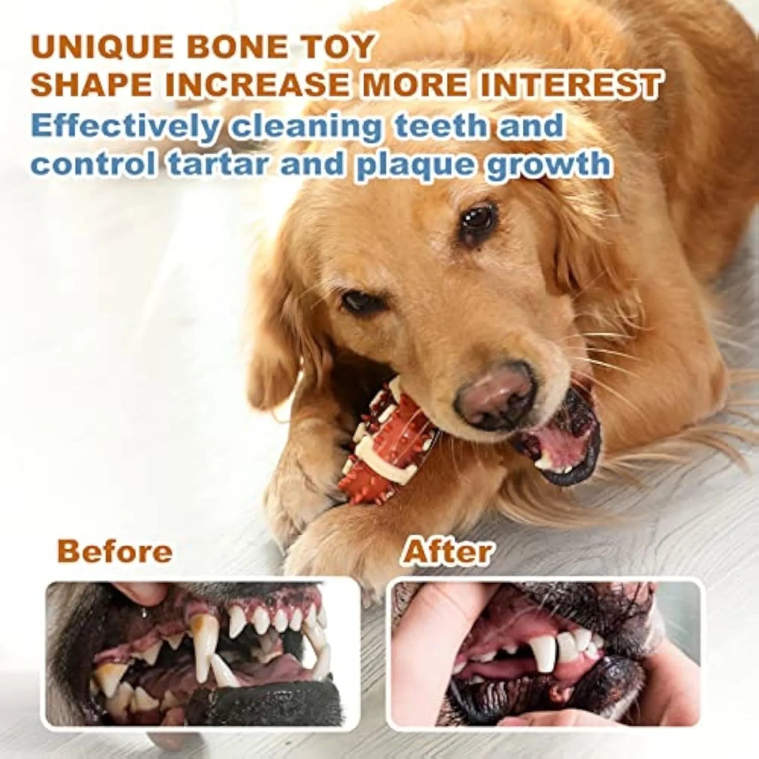Natural rubber bone-shaped dog chew toy for teeth cleaning and anxiety relief in two sizes