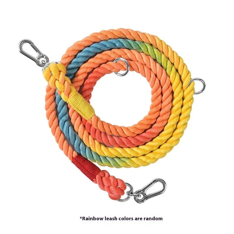 Woven rainbow coloured dog leash with clips at both ends, shown in a choice of colours with silver or gold fittings.