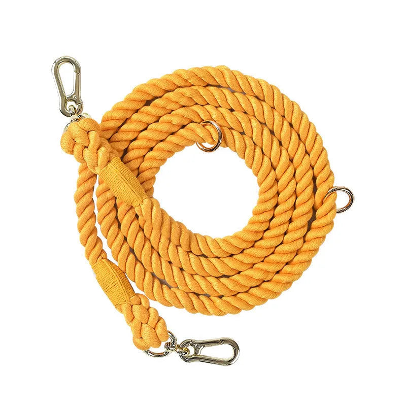 Woven rainbow coloured dog leash with clips at both ends, shown in a choice of colours with silver or gold fittings.