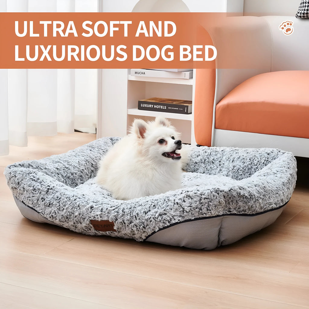 Swirl Rose Velvet dog bed with raised rim and removable cushion on a floor, size option S, M, or L.
