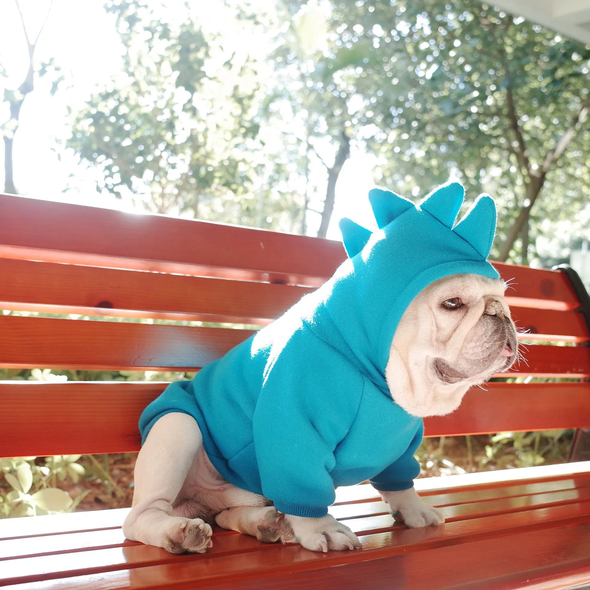 Blue fleece solid colour pet hoodie on a dog, available in sizes S M L XL