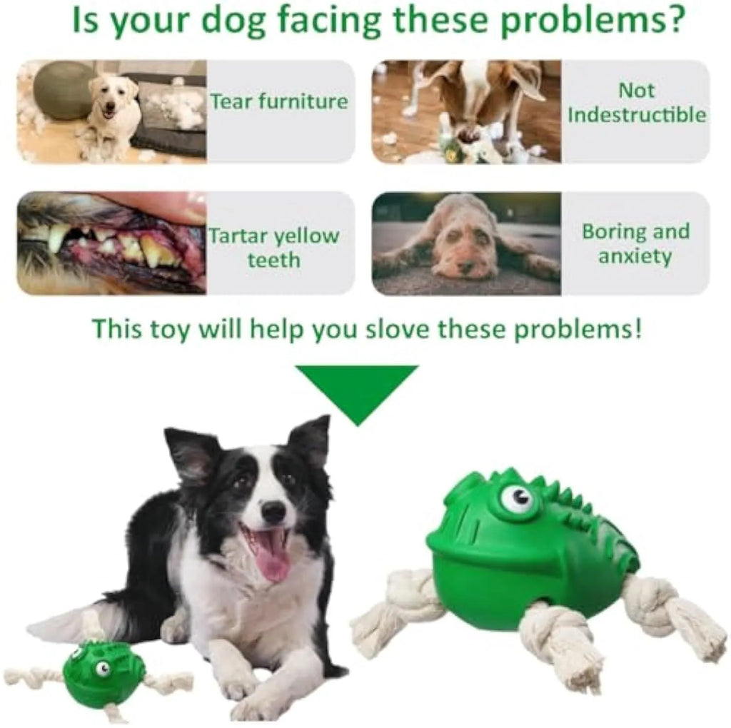 Green indestructible rubber toad dog toy with cotton rope legs and black button eyes, for aggressive chewers