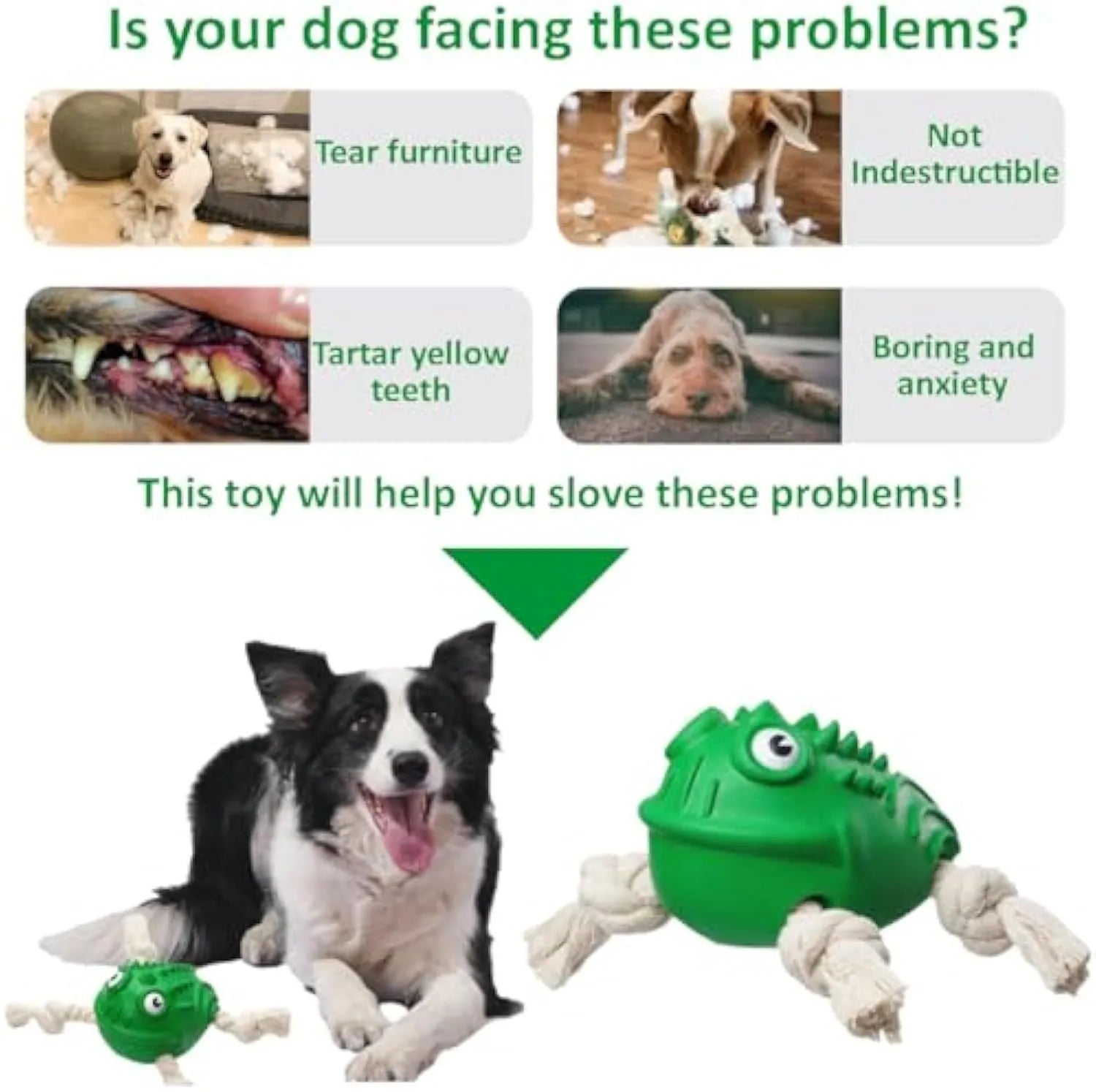 Green indestructible rubber toad dog toy with cotton rope legs and black button eyes, for aggressive chewers