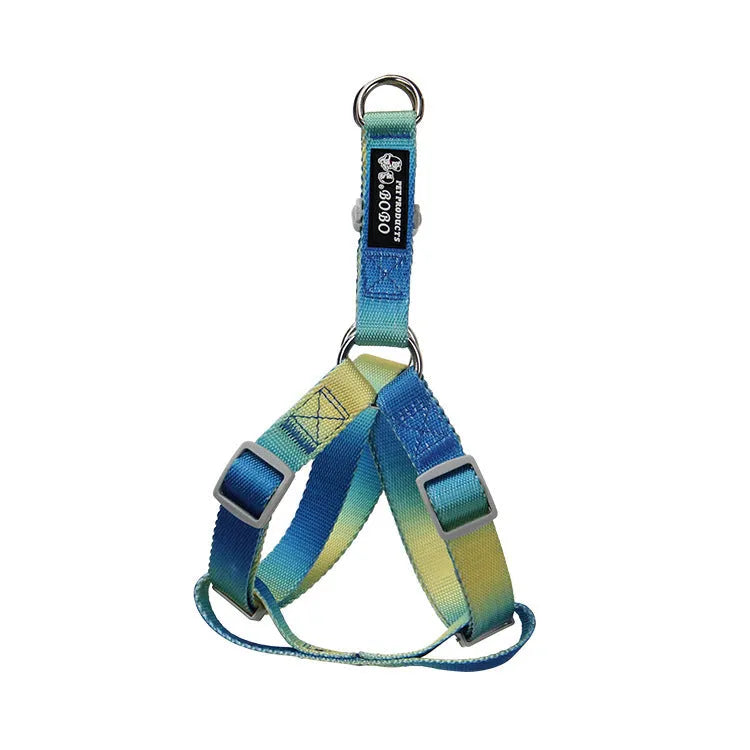 Gradient colour dog leash set showing nylon collar, harness, and matching lead in pink and yellow combination