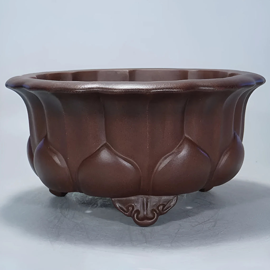Square purple-red ceramic succulent planter with classical flared rim on a table.
