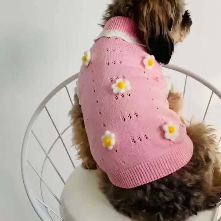 Green floral knitted dog sweater on a small dog, showing the pullover design and blossom pattern.