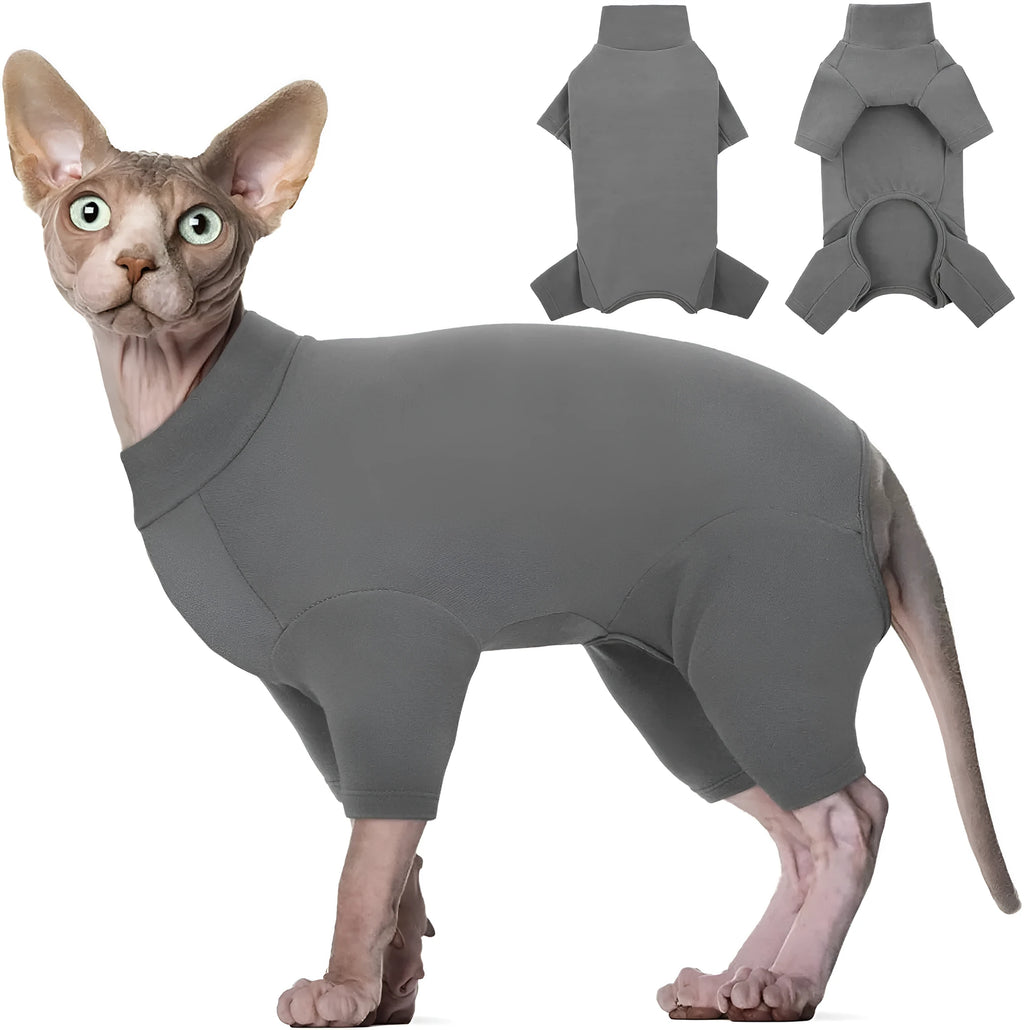 Hairless cat wearing grey turtleneck sweater with sleeves and leg openings