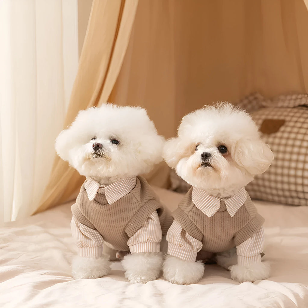 Brown striped two-legged knitted pet coat for small dogs and cats autumn winter