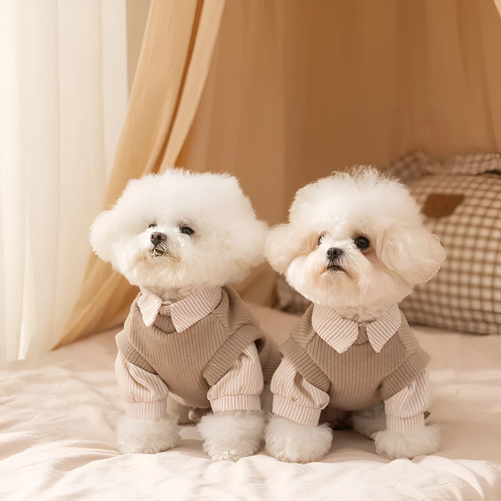 Brown striped two-legged knitted pet coat for small dogs and cats autumn winter