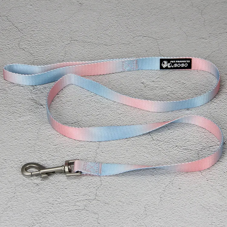 Gradient colour dog leash set showing nylon collar, harness, and matching lead in pink and yellow combination