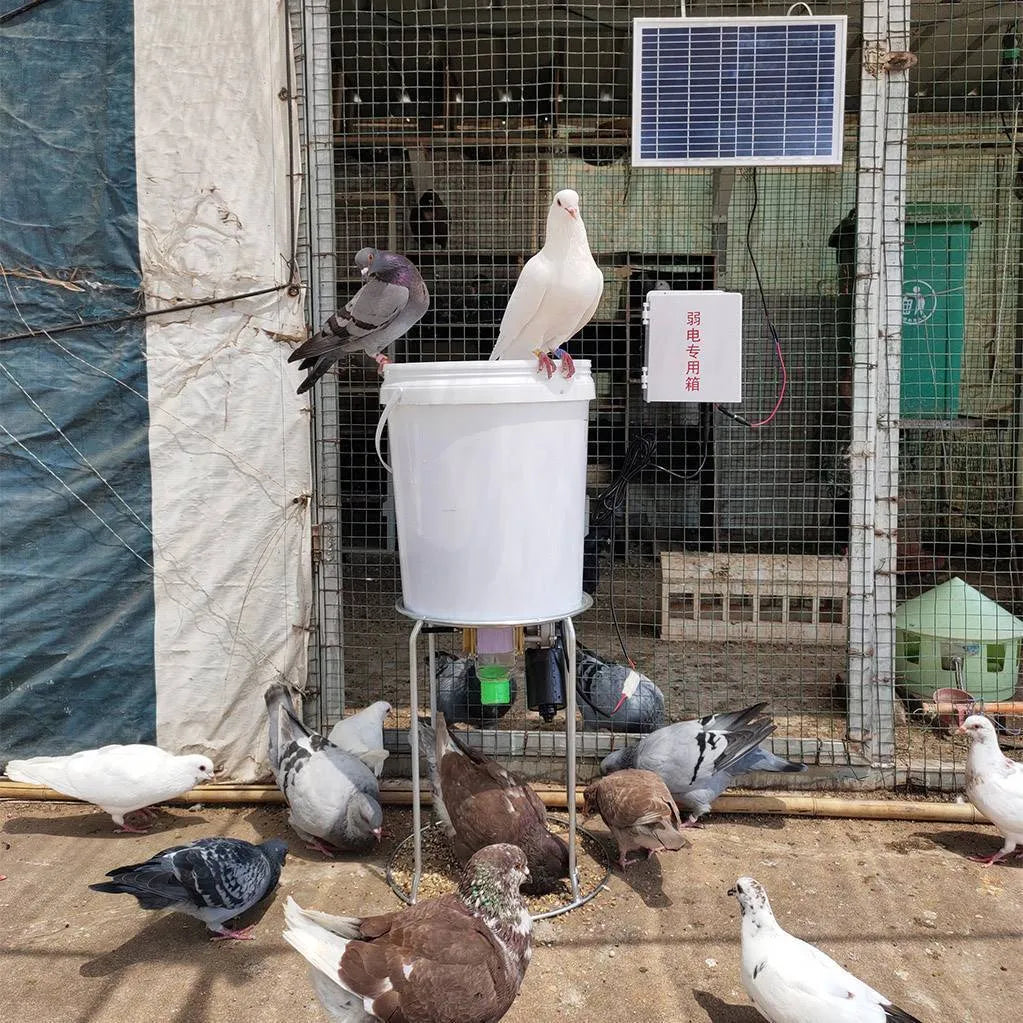Automatic solar-powered chicken and duck feeding machine with timer display and watertight caisson.