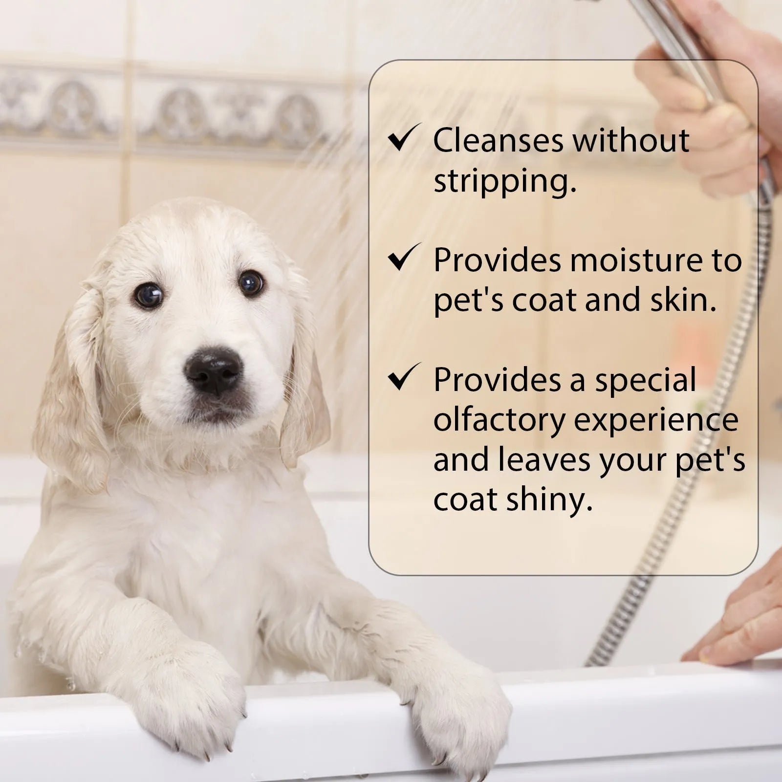 Bottle of mild pet shampoo for cats and dogs that leaves hair soft and unknotted