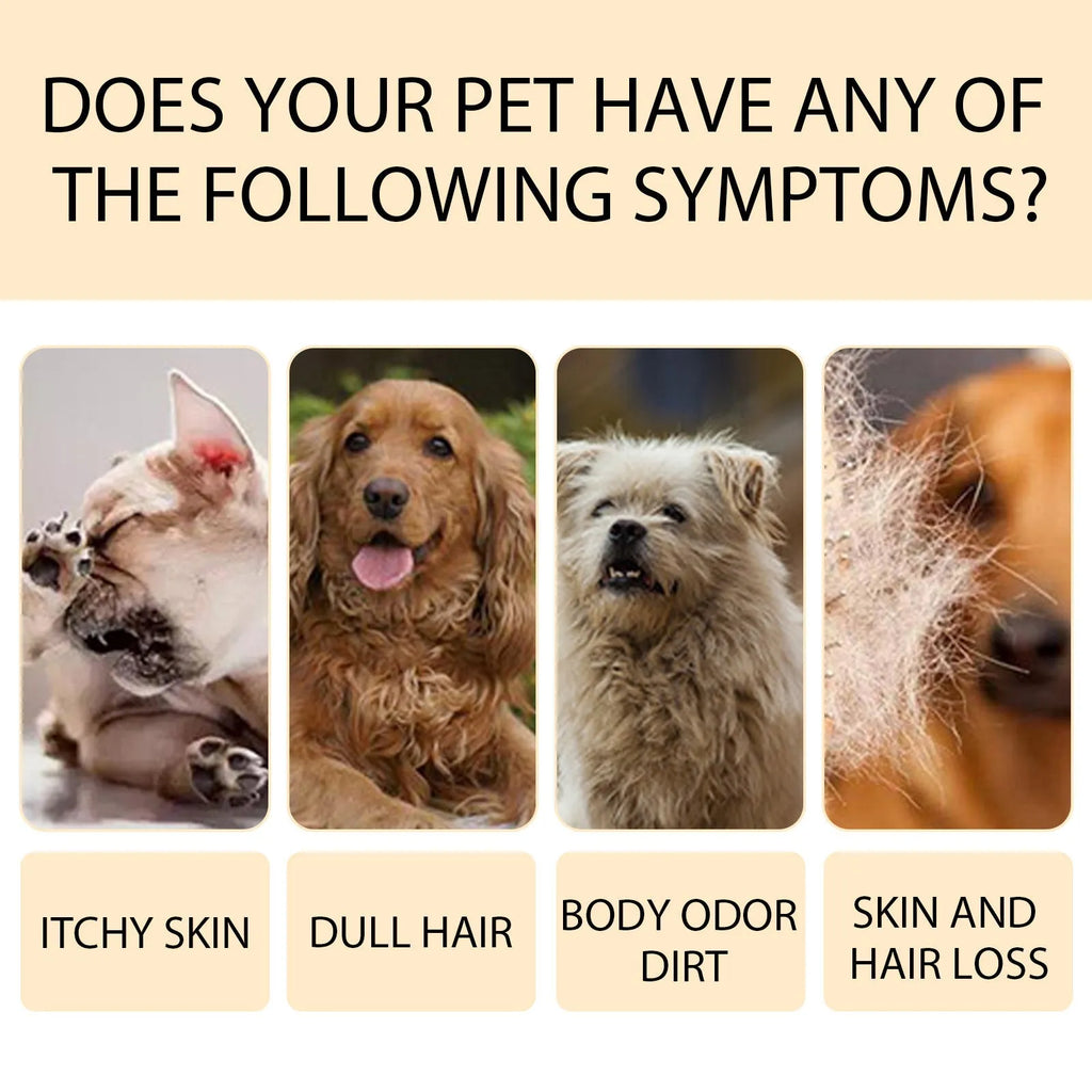 Bottle of mild pet shampoo for cats and dogs that leaves hair soft and unknotted