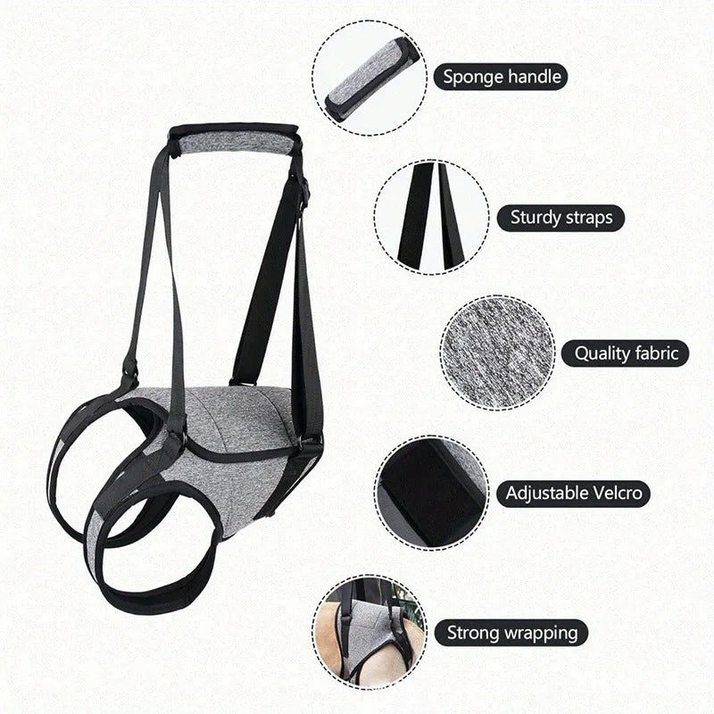Grey neoprene dog rear leg recovery support harness shown laid flat, with adjustable straps for waist and thigh.