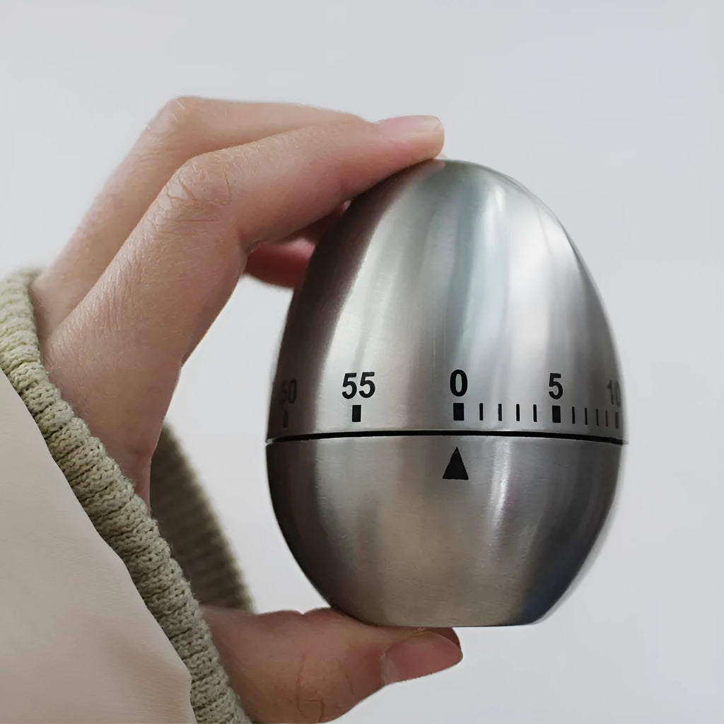 Stainless steel egg-shaped mechanical kitchen timer with dial showing 60-minute range