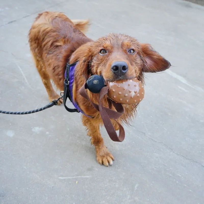 Coffee-brown TPR dog toy shaped like a bean with attached rope knot for dental cleaning and slow feeding.