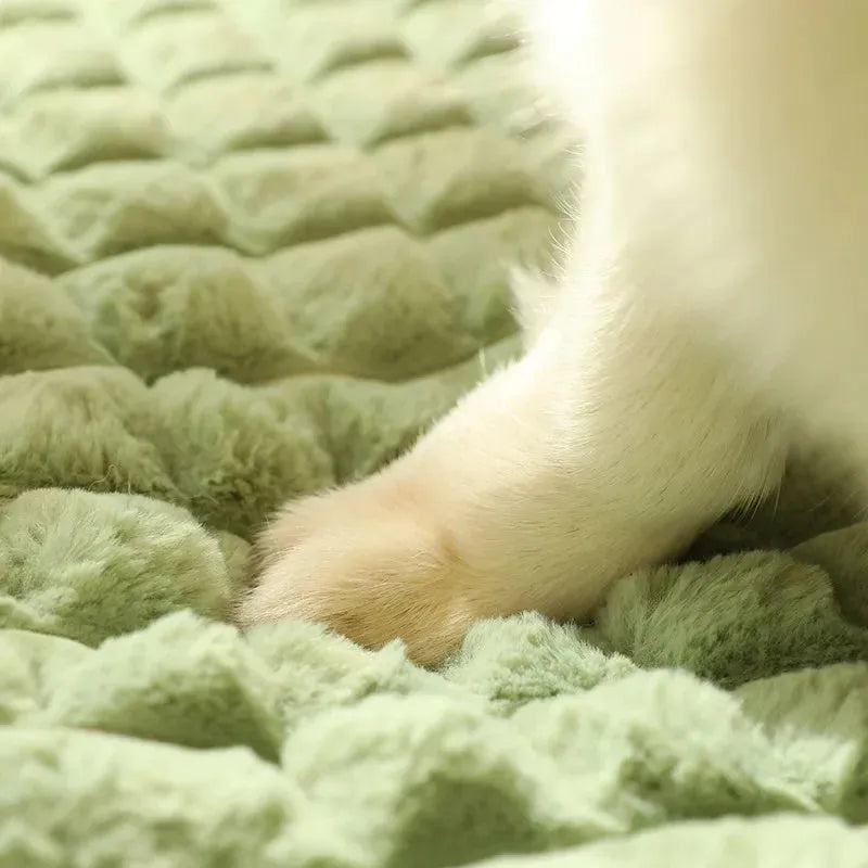 Washable dog mat with detachable cover in grey, shown on a wooden floor