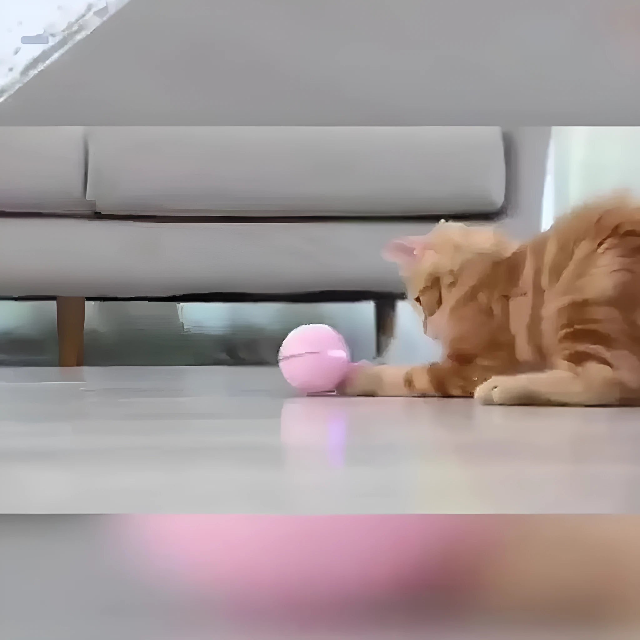 USB rechargeable electric cat toy with LED light-up ball and rotating feather attachment