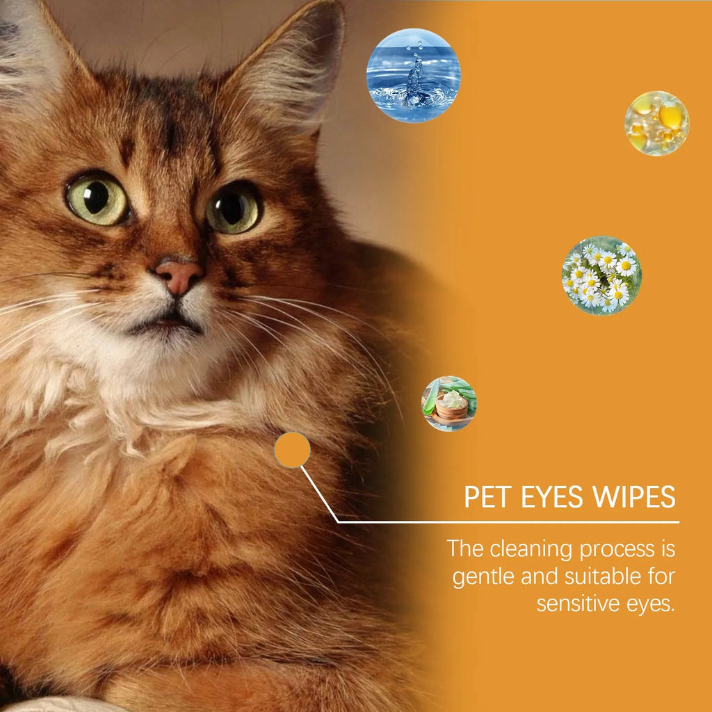 Dogs And Cats Eyes Wet Wipes 60 pieces box for tear stain removal on dogs and cats