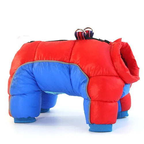 Dog wearing thick cotton winter down jacket in silver colour, standing on sofa
