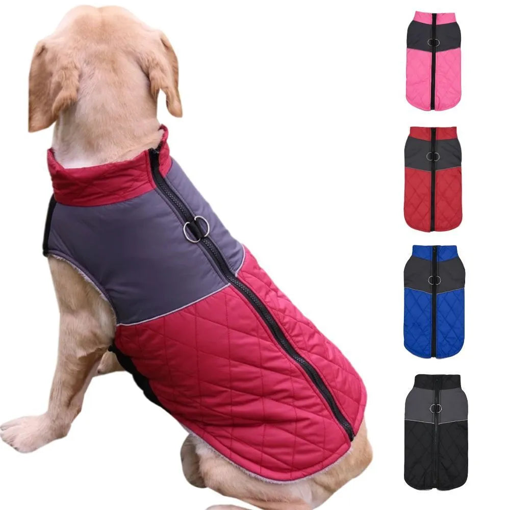 Waterproof polyester chest back dog coat in wine red for autumn and winter walks