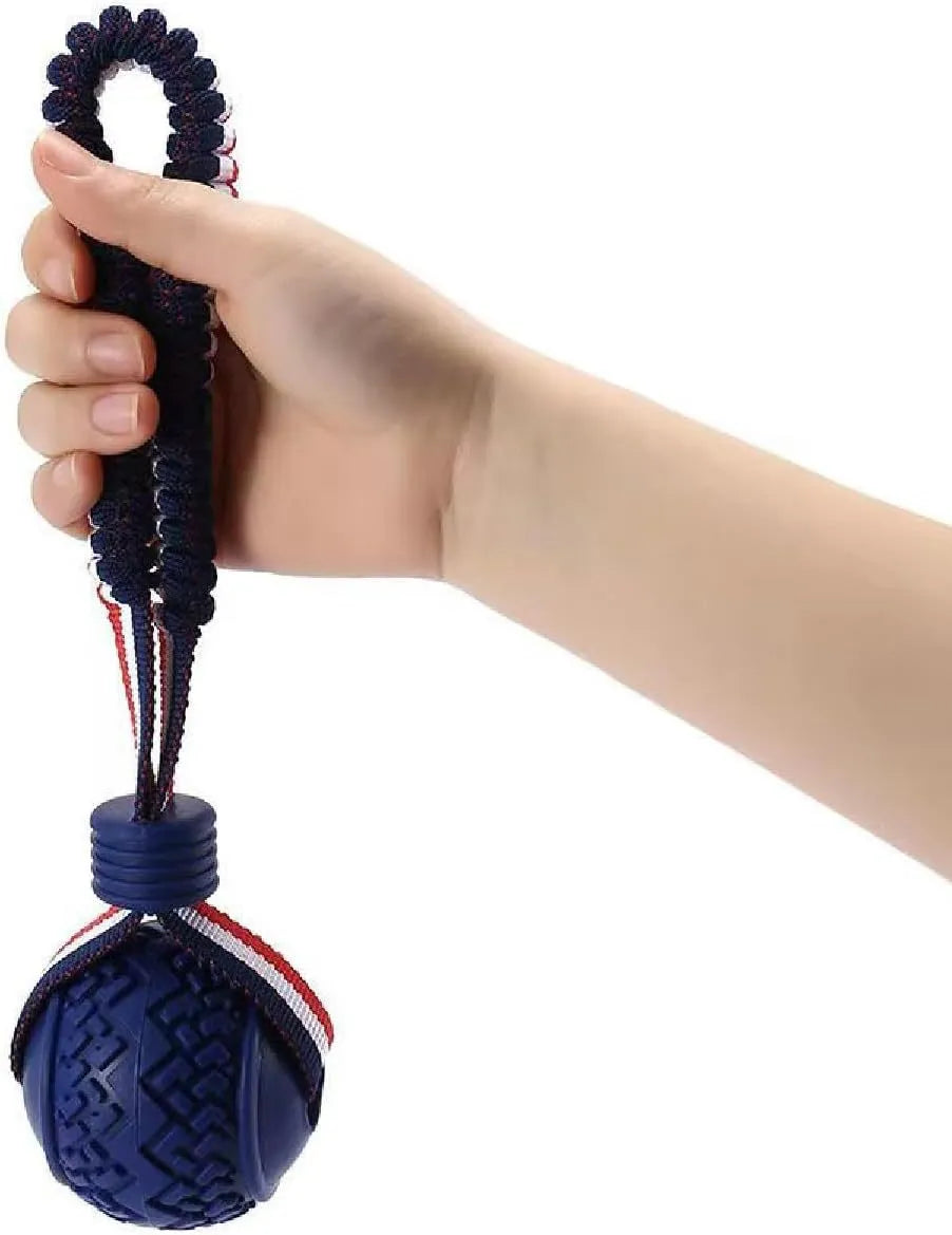 Blue rubber dog ball with rope attached, showing textured surface.