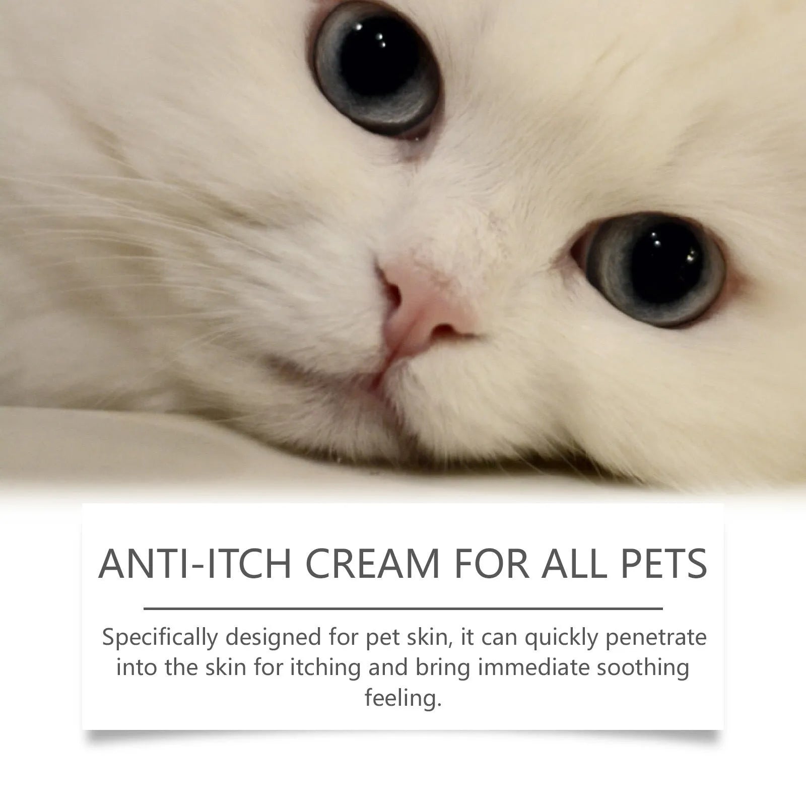 Tube of pet itch relieving cream for cats measuring 5.5cm by 13.3cm with 60g net weight