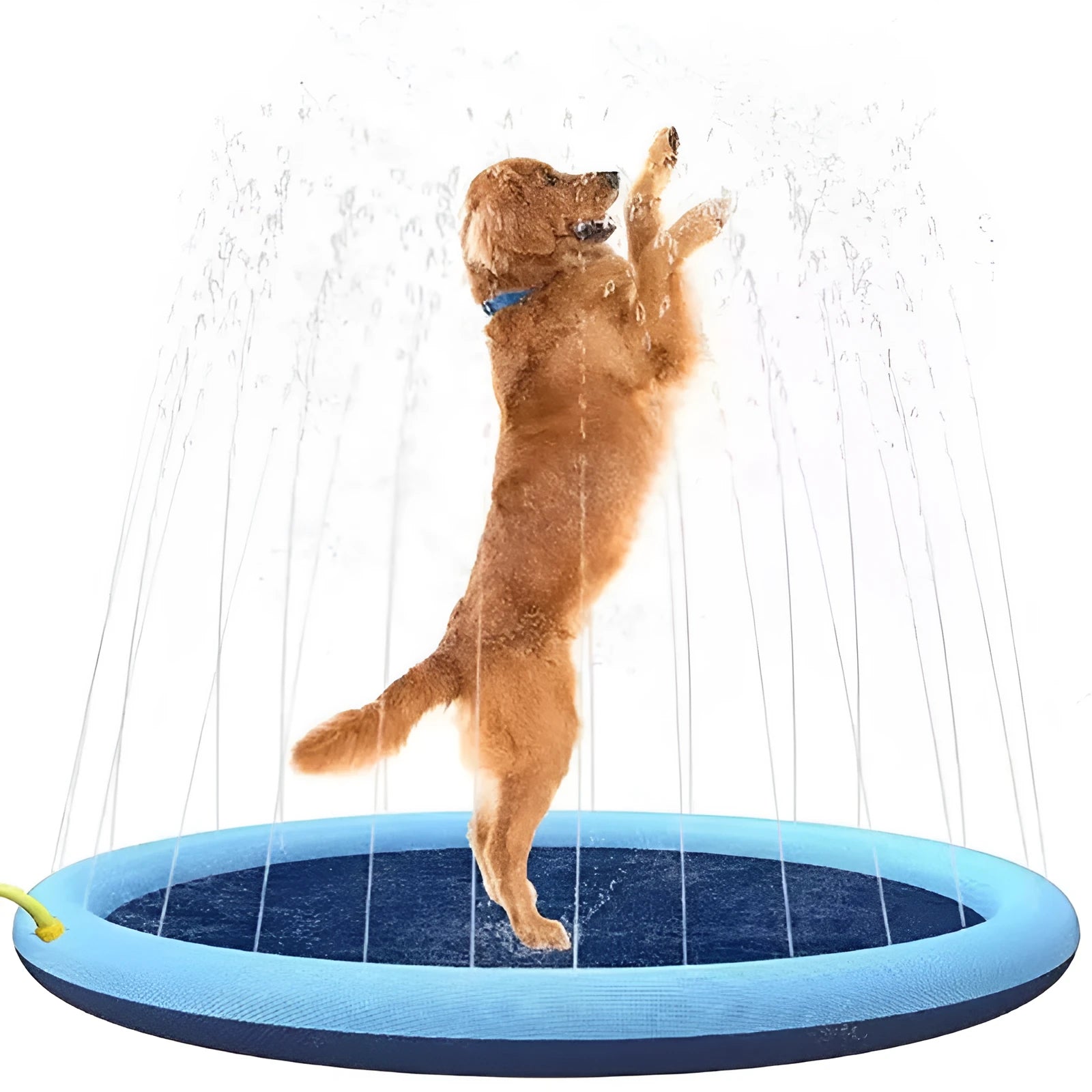Anti-slip dog sprinkler mat showing textured surface for outdoor water play in garden setting