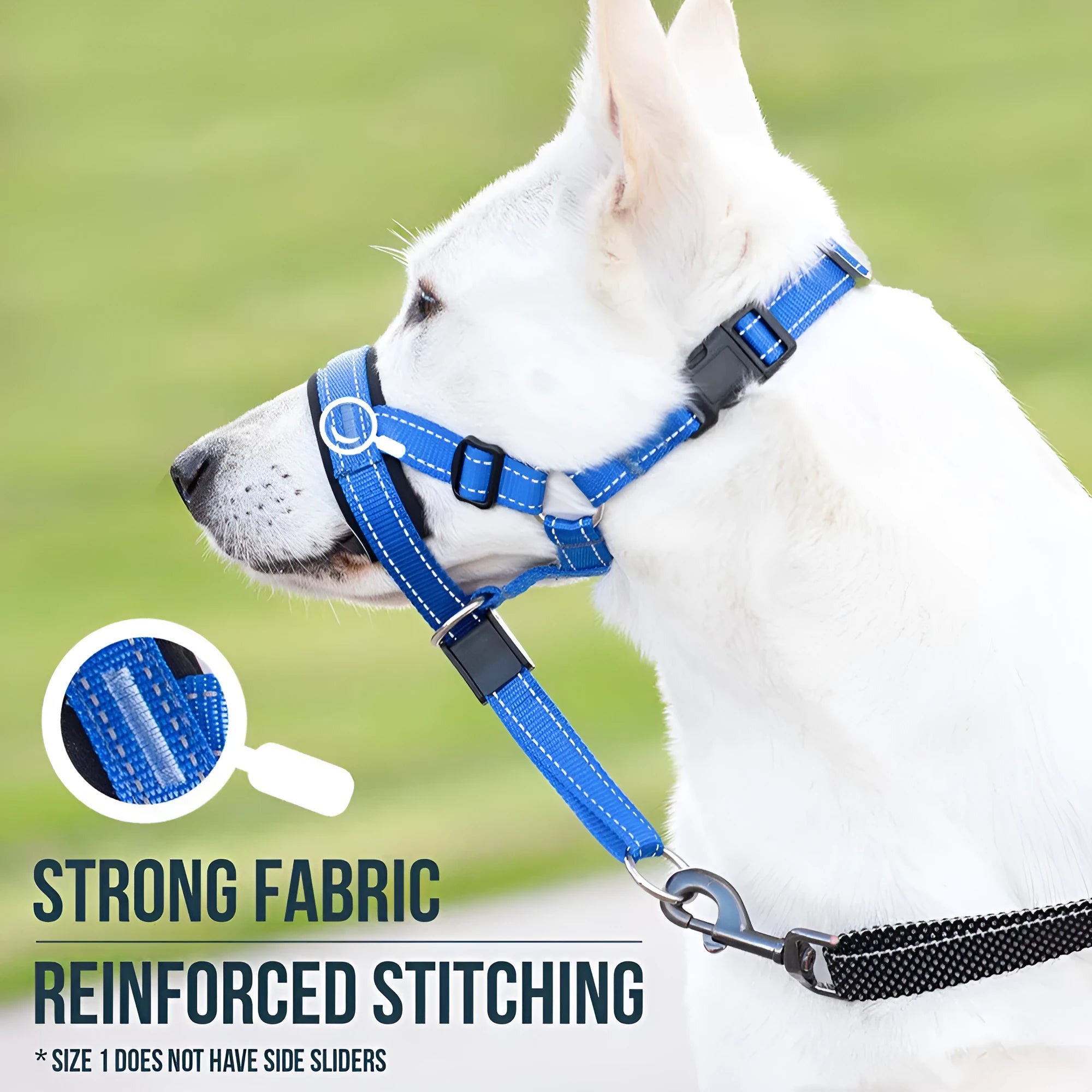 Nylon dog muzzle in blue on white background for bite and bark control
