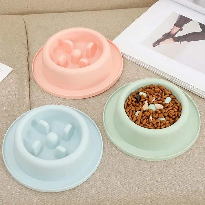 PP plastic pet slow feeder bowl in blue, green, or pink with maze design and non-slip base