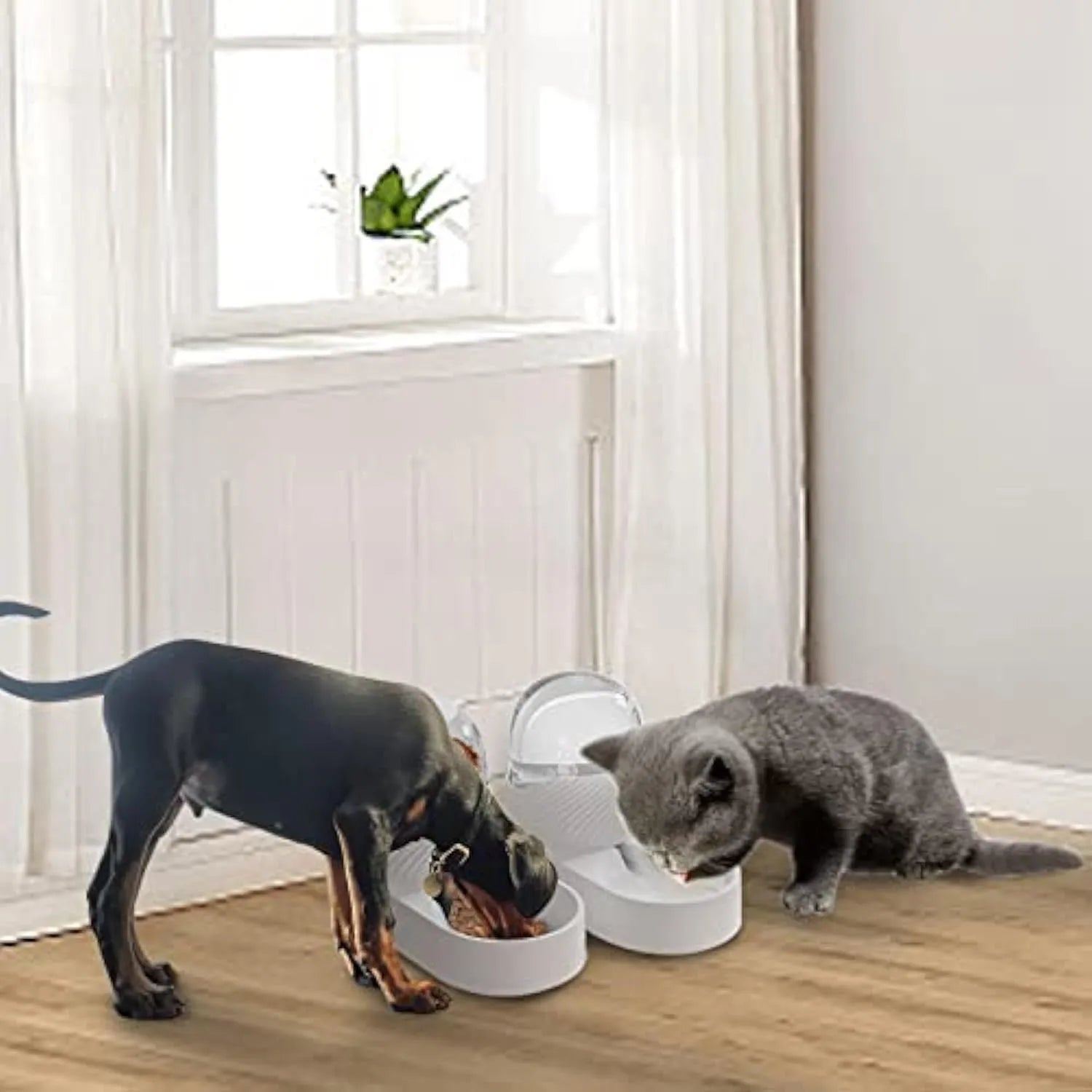 White automatic gravity cat feeder and water dispenser set with wave-shaped design on a table.