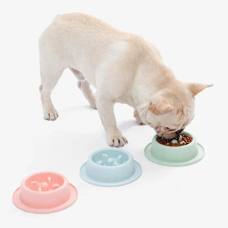 PP plastic pet slow feeder bowl in blue, green, or pink with maze design and non-slip base