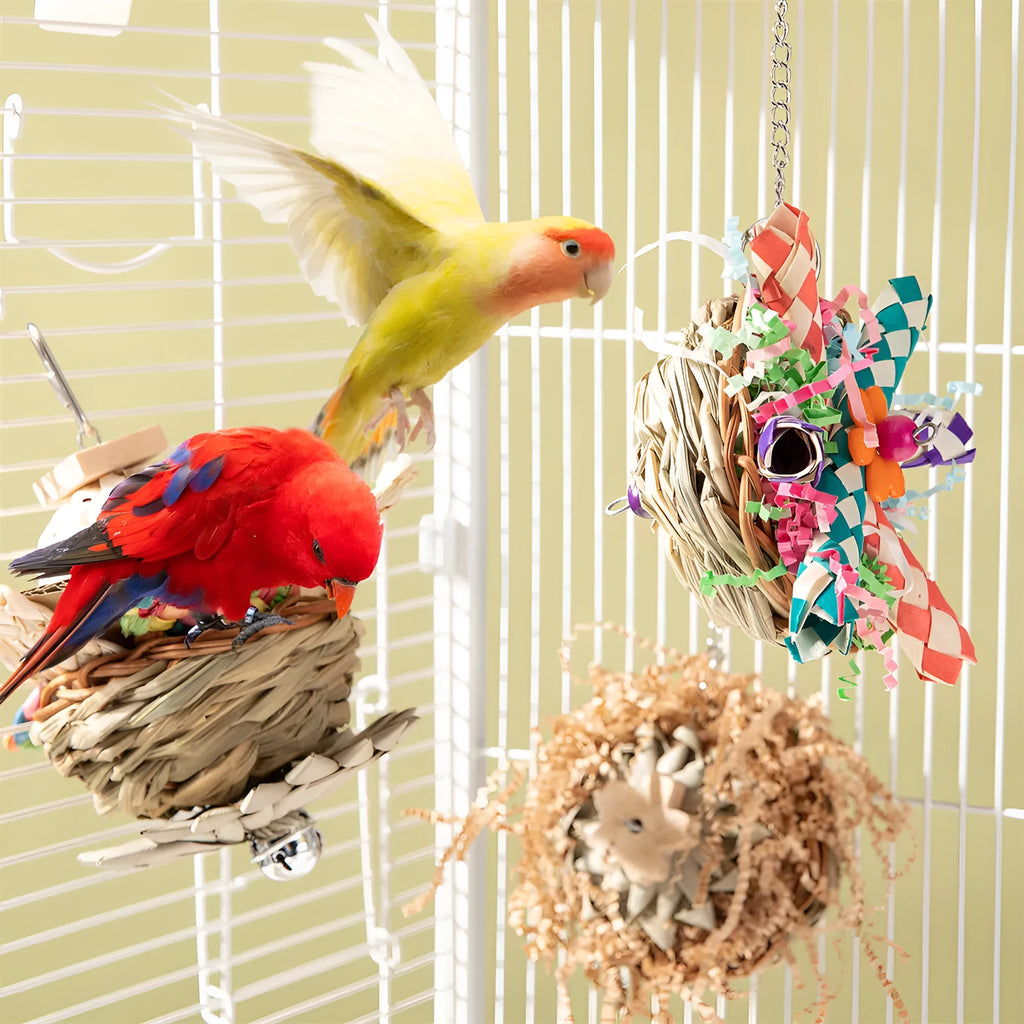 Set of three parrot gnawing toys for beak exercise including types A, B, and C.