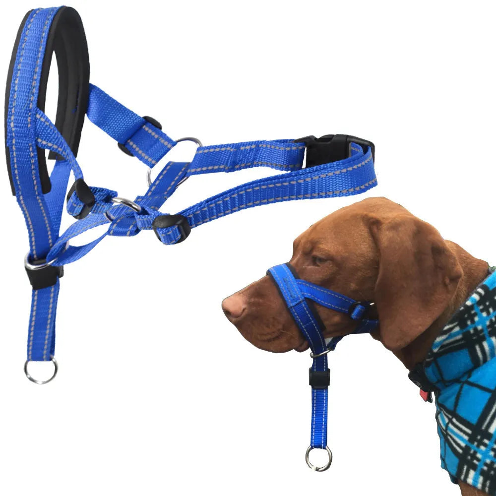 Nylon dog muzzle in blue on white background for bite and bark control