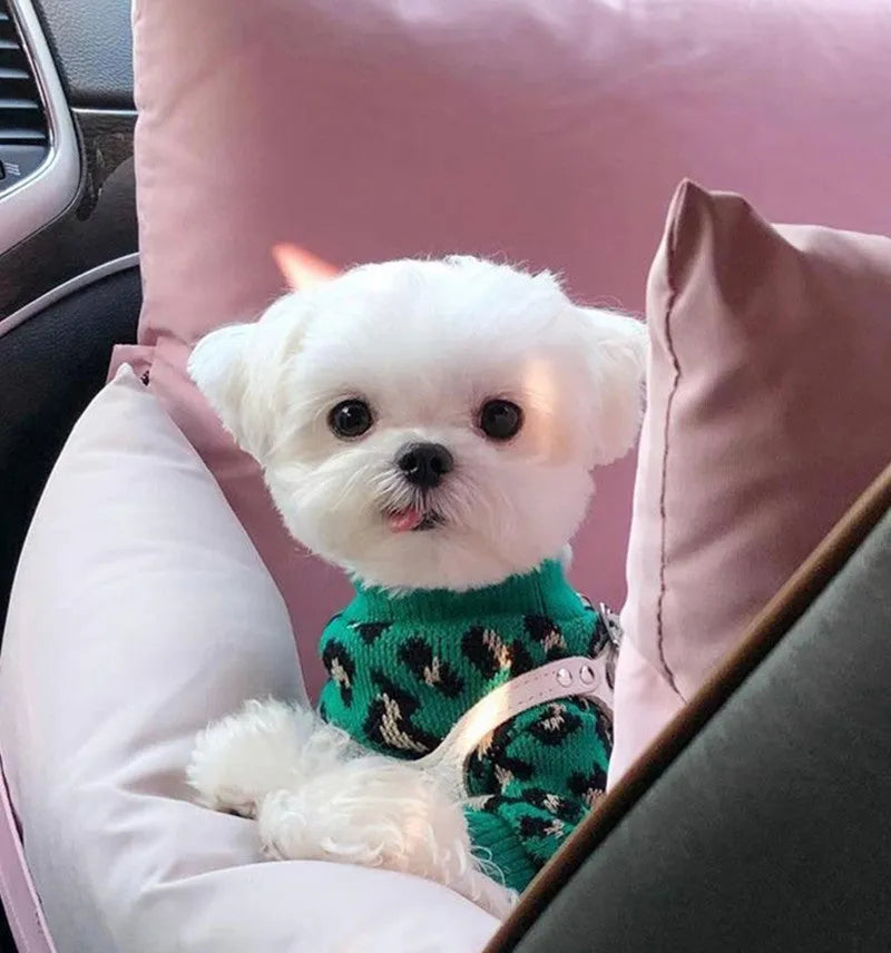 Green leopard print sleeveless knitted sweater for small dog or cat laying down