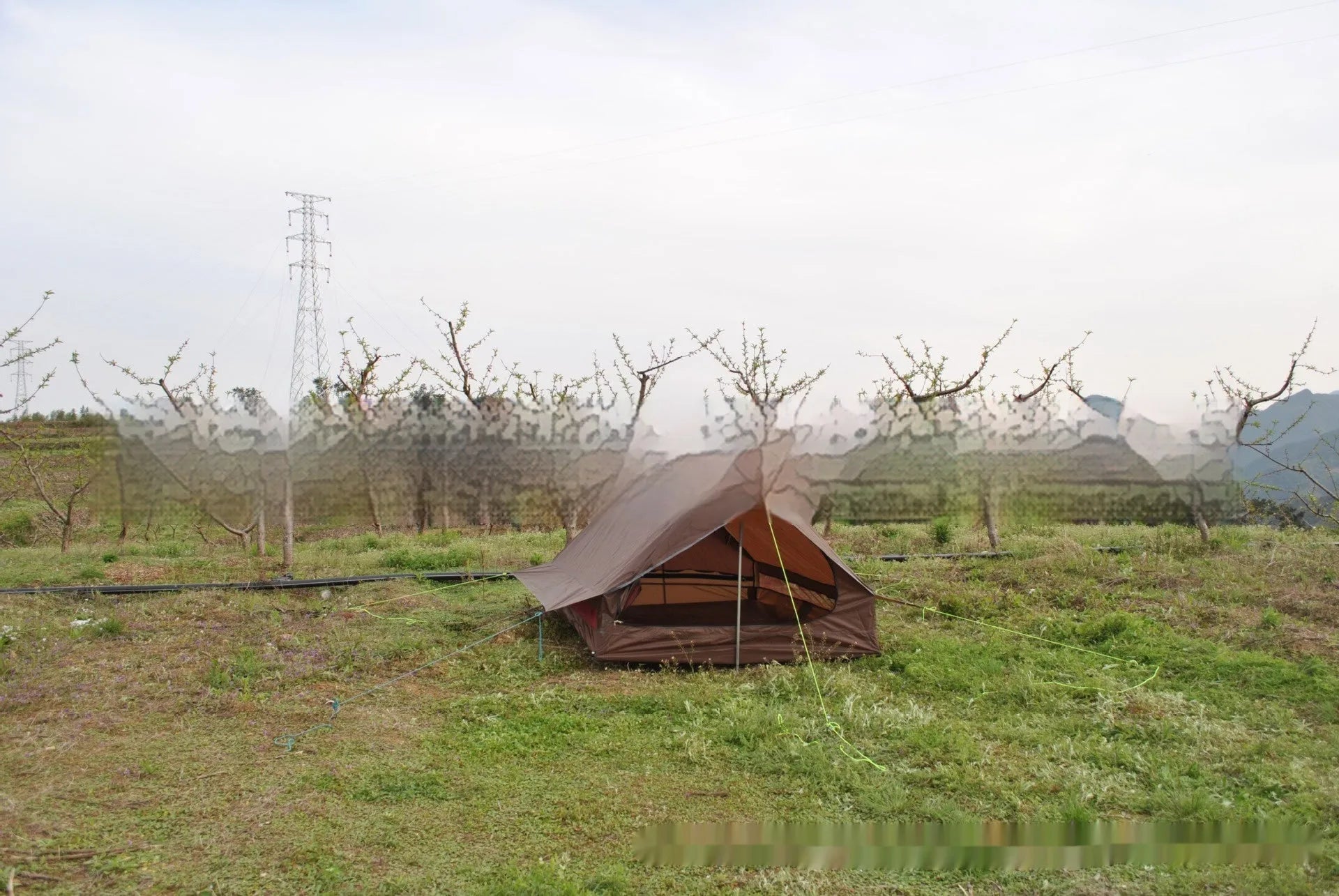 Brown A-Line pole-free cabin tent set up in a forest, showing its spacious interior for 2-3 people.