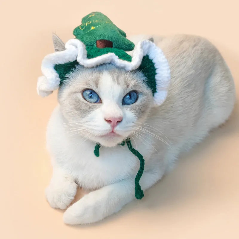 Hand crocheted monochrome Christmas tree pet hat with rope tie on a cat