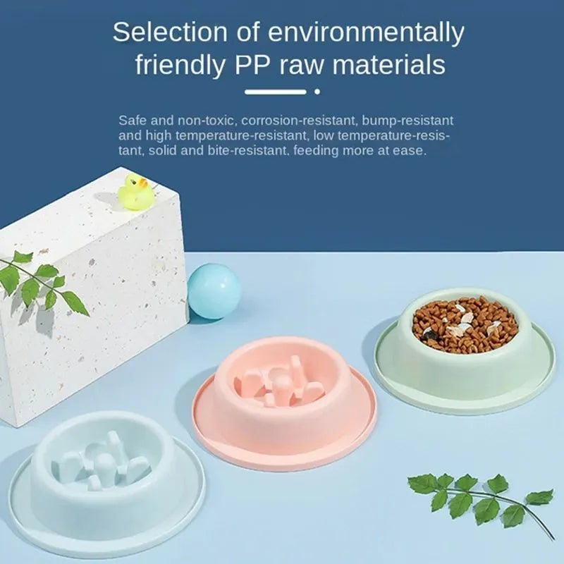 PP plastic pet slow feeder bowl in blue, green, or pink with maze design and non-slip base