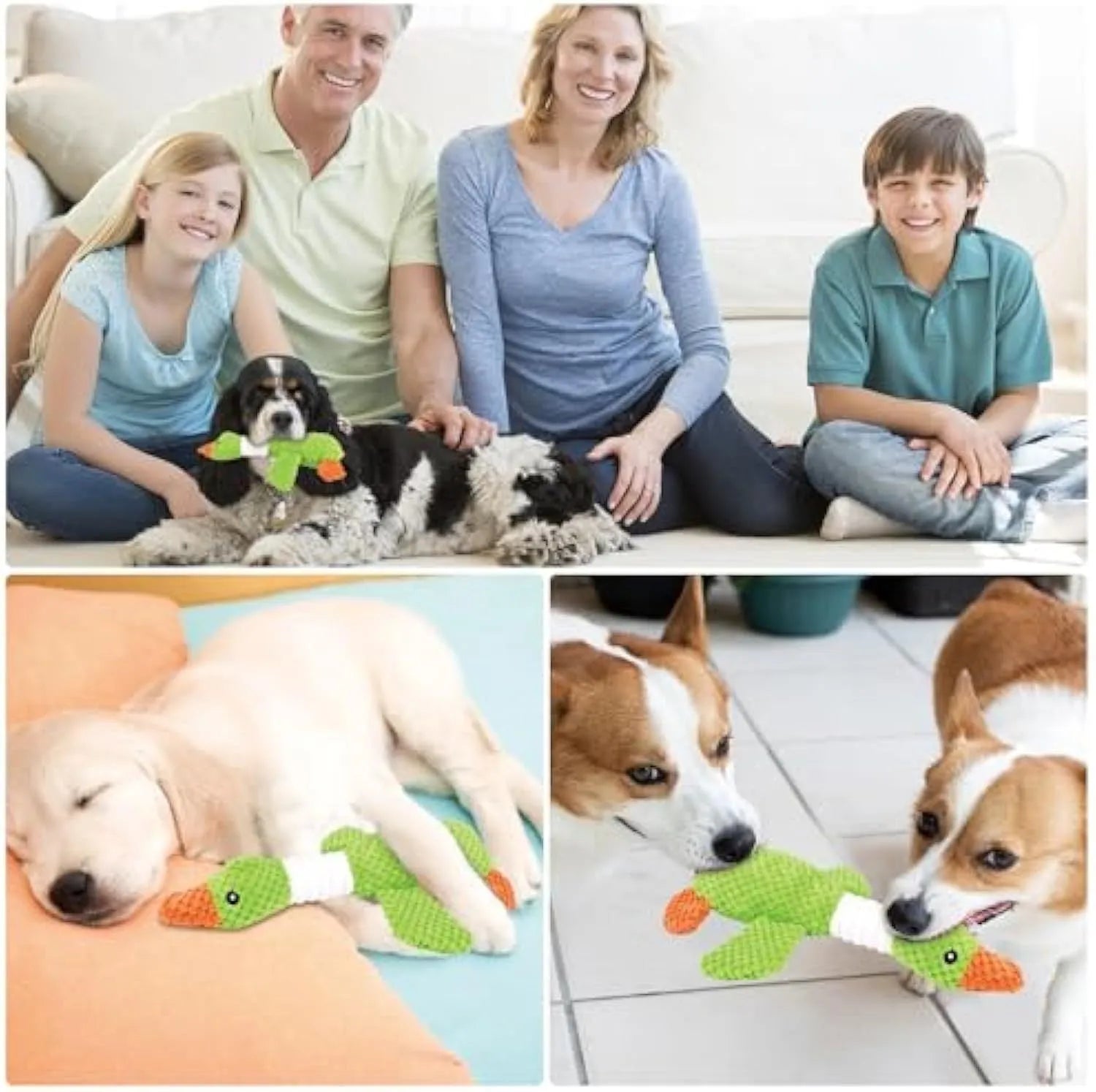 Blue duck-shaped dog plush toy with squeakers for large breed dogs