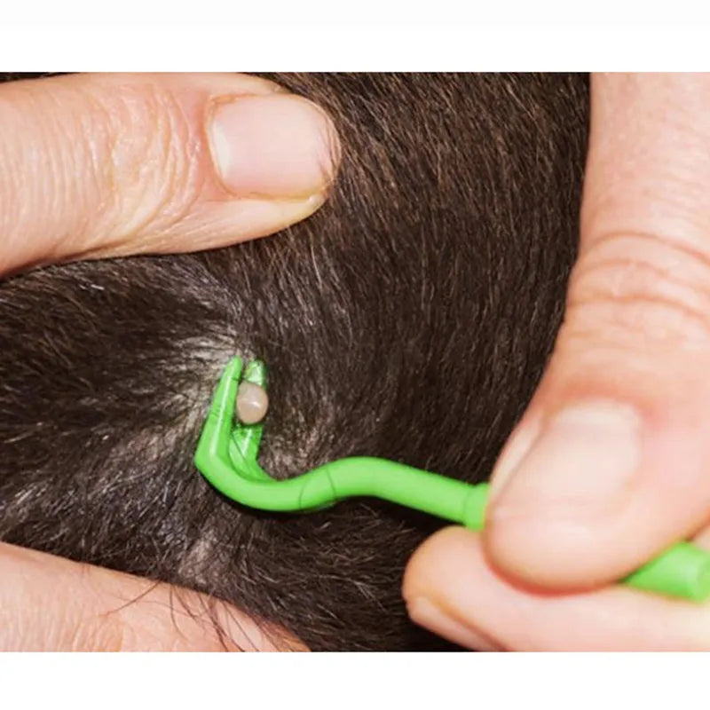 Three plastic pet tick removal hooks in blue and green colours for dog and cat parasite elimination