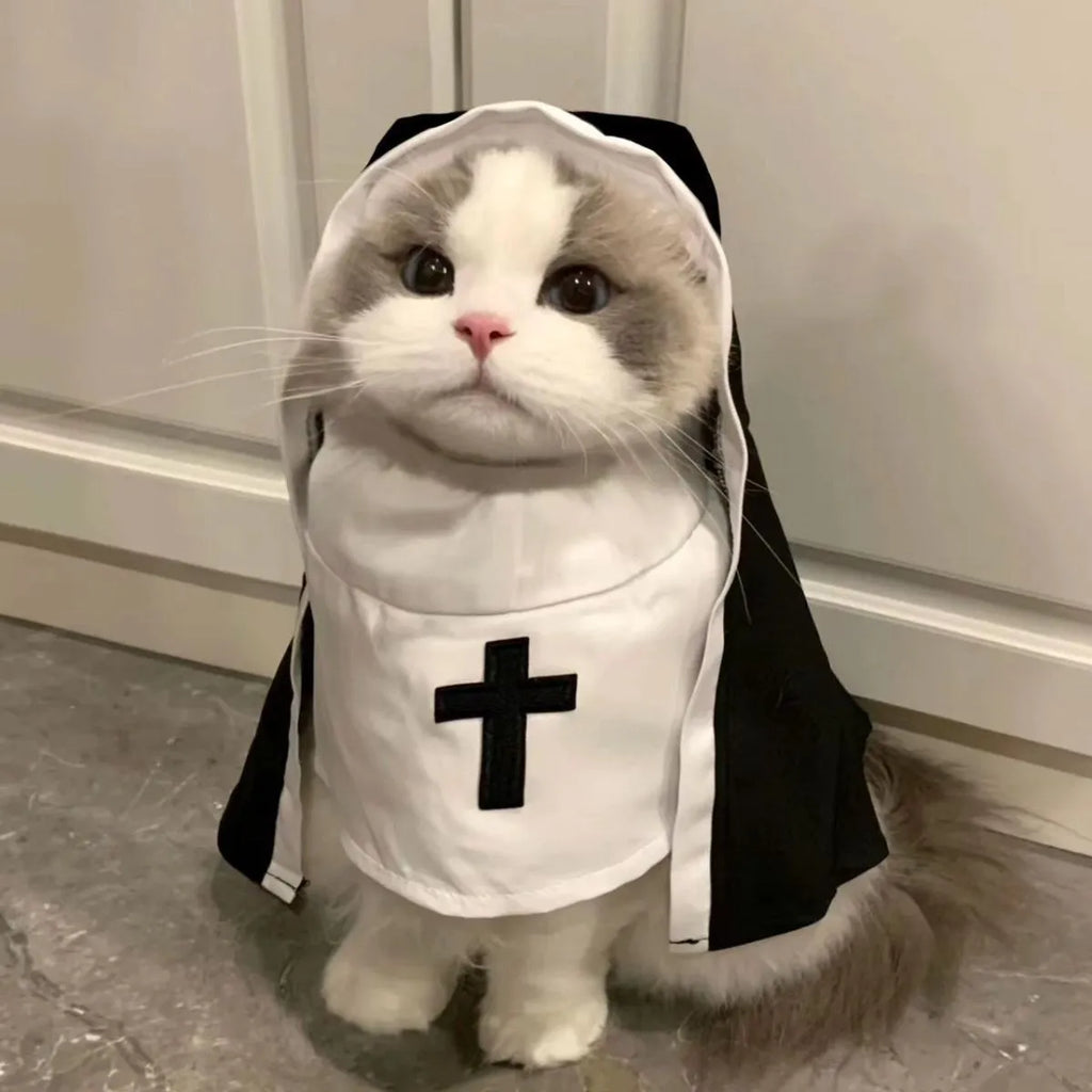 Black and white nun costume cloak on a small dog, showing the pullover design.
