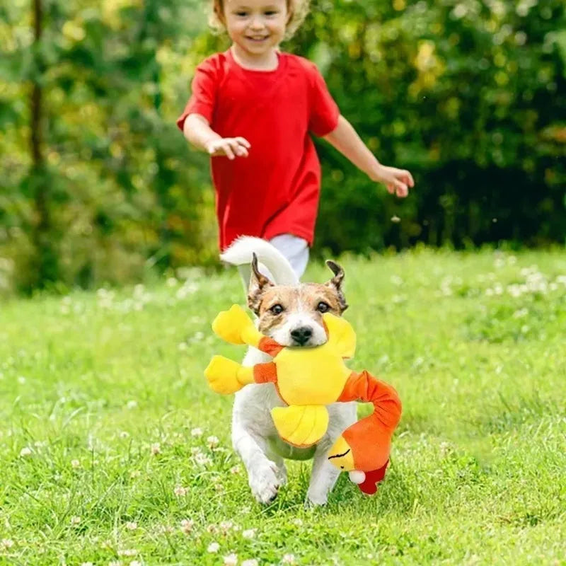 Screaming chicken squeaky dog toy in cartoon bird style – soft plush chew toy for small to large dogs