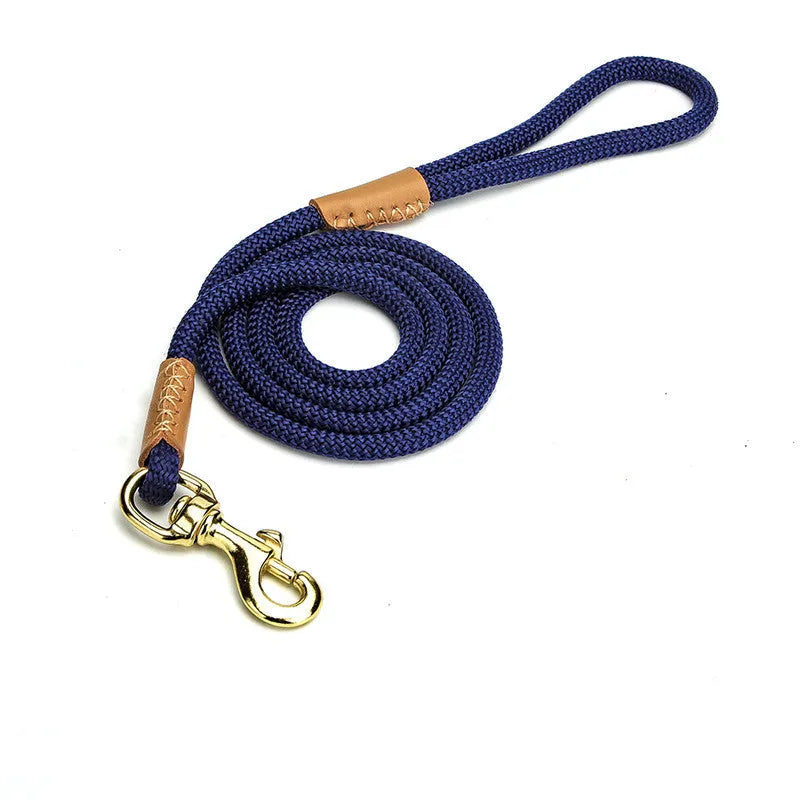 Lightweight blue nylon dog leash with metal clip on a white background.