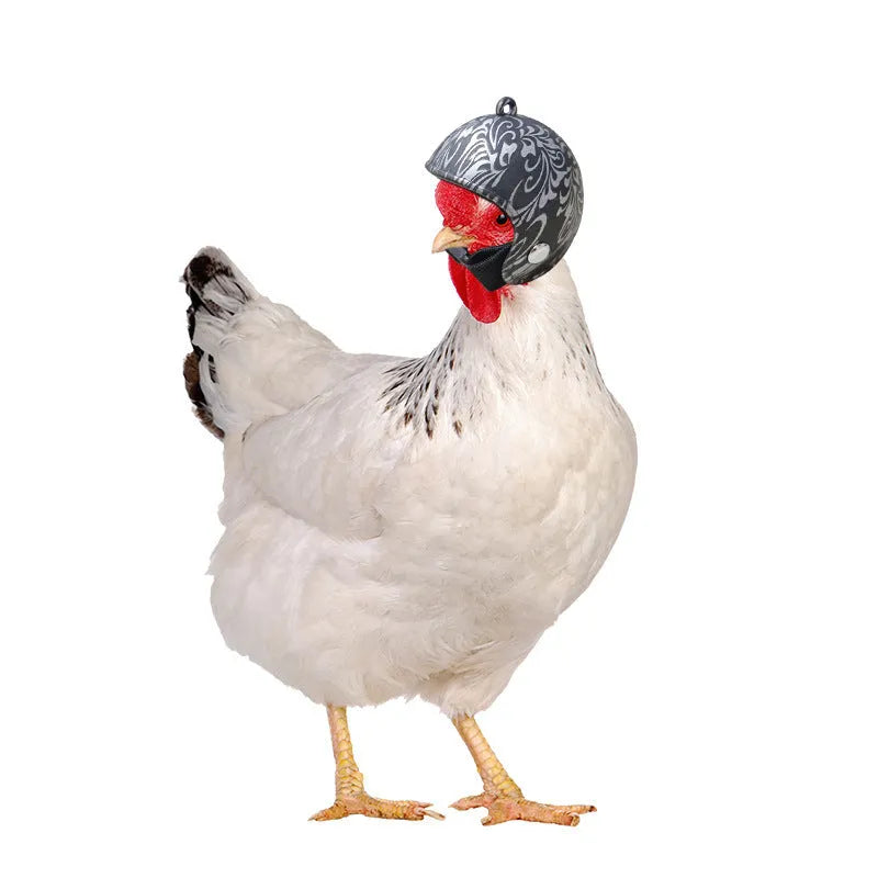 Colourful plastic chicken helmet for small pets on a white background