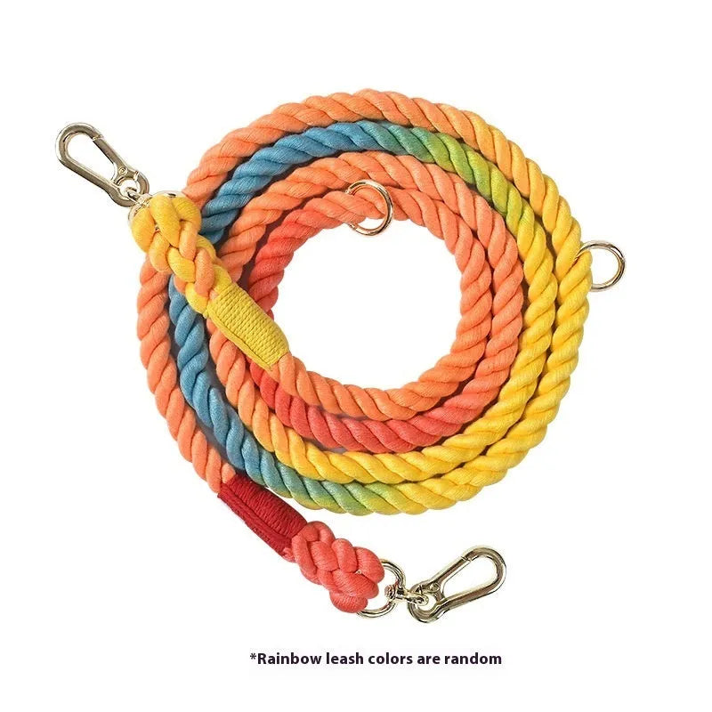 Woven rainbow coloured dog leash with clips at both ends, shown in a choice of colours with silver or gold fittings.