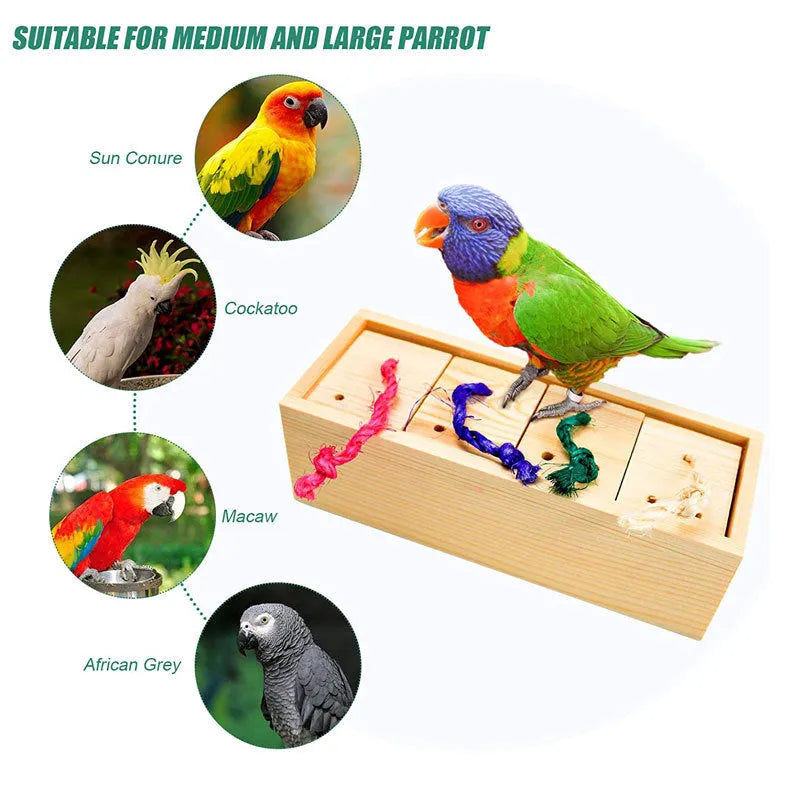 Wooden parrot puzzle training toy set for bird enrichment activities