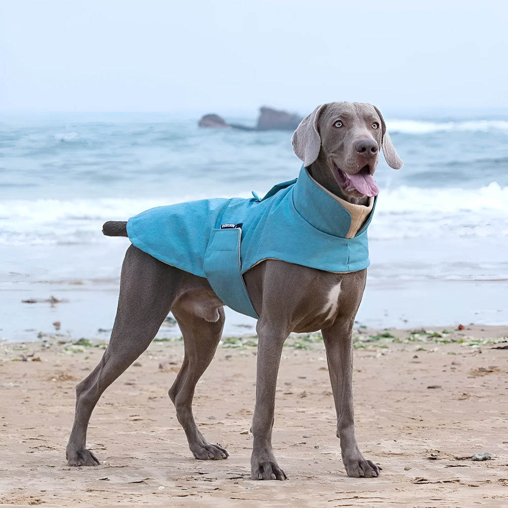 Cold-proof dog vest in rose red, light blue, or grey polyester for medium to large dogs